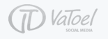 logo vatoel